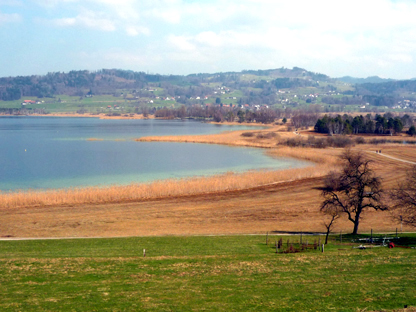 pfSP1010488_416x319a